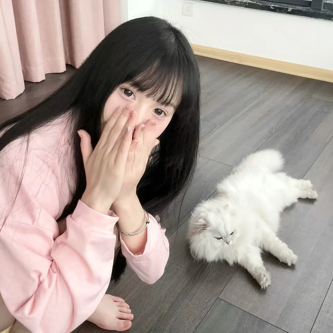 飞鹰人