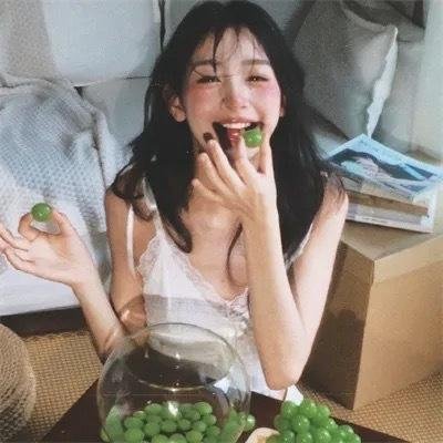 大象与小蝶物语